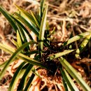 대주농장 이미지