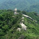 [대구토요산행] 대구가연산악회 제52차 주말산행 문경 대야산(07월06일 토) 이미지