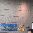 동양부분정비 | 국립중앙박물관 혼자 수원에서 가기 | 주차장 평일 대기 굿즈 어린이박물관 예약 기념품샵 후기