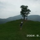 삼영목장 이미지