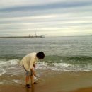 청호동 해변 이미지