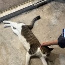 겨울이와여름이 네이버블로그