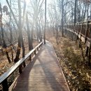 도구머리근린공원 입구 | 서초구 도구머리근린공원 무장애숲길 조성 완료
