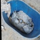 인헌동-8 | 관악구 봉천·인헌동 누수탐지 후기