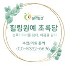 품은상담교육센터 | 울산 부산 [초등 지구의날 환경수업] 생태전환교육으로 탄소중립 지구숲 만들기 원예체험수업후기