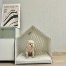 CU인천장기점 | 인천 송도 애견 동반 호텔 숙소 가성비