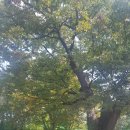 모롱지공원 이미지