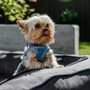 리본동물의료센터 이미지