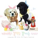 동화마을잔치날 이미지