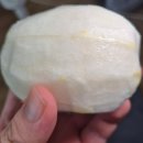 과일맛있는집 | 한입과득 성주참외 고당도참외 고당도과일 맛있는간식 솔직 후기