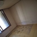 대성비철 이미지