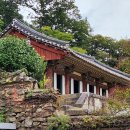 순천-56호 티스토리