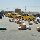 정읍유치원 이미지