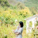 플라워카페나무기린 이미지