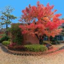 다울펜션 이미지