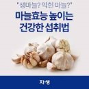 마늘 효능 생마늘 구운마늘 효능 흑마늘 알아두기 이미지