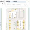 허니아니