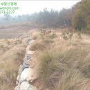 쌍암태양광발전소 이미지