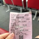 씨스포빌 | [묵호항 출발 울릉도] 씨스포빌 배 후기｜멀미약 구매부터 탑승까지 꿀팁 모음