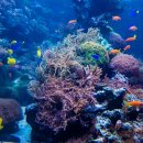 심화목장 이미지