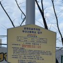 동네고깃집 | [부산/초량] 가성비 제대로인 고깃집 "거북이동네" 방문 후기