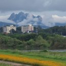 베트남별밤노래연습장 | 나아직만스물일곱살어린이인데너무성숙을바라네나한테