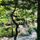 풍국면 - 안동시 옥동2길 39 | 풍국면