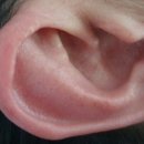 귀를 통한 건강관리 이미지