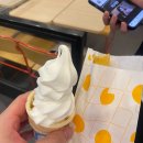 롯데리아 광주금호점 | [광주 소곱창 맛집 추천] 독보적인 맛 진우네한우곱창 금호본점 솔직 방문 후기