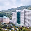 소노문비발디파크 네이버블로그