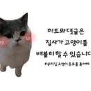 스테이가온 Stay Gaon 이미지