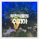 부천시 공영노외 주차장(4호) | 부천식물원 수피아 야간개장｜실내데이트 후기 &amp; 추천 이유 3가지(예약·주차 정보)