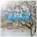 출렁다리 이팝나무길 | 하동 여행) 봄날 산책하기 딱 좋은 동정호 후기 | 포토존 &amp; 꿀팁 총정리