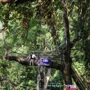 블루라군 이미지