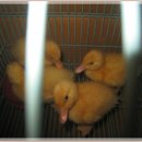 은찬농장 이미지