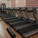 머슬핫바디 이미지