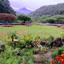 미륵산계곡꿈의궁전마을 이미지