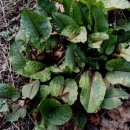 금강약초사우나 이미지