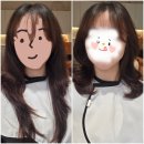 이설헤어 | 전주 신시가지미용실 헤어웰효자점 CS펌후기 (feat. 이설디자이너)