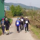 부적면사무소 이미지