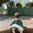 [10월 1주] 공원 책놀이 ✘ 훈민정음을 만든 세종대왕! 이미지