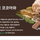 (주)가나유통 이미지