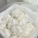 티파니 | 백화점 웨딩밴드 투어 후기 | 티파니, 불가리, 까르띠에, 부쉐론등