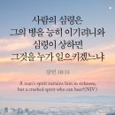 오늘의 '영어성경 사진'(816강) “사람의 심령”(잠언 18장 14절) 이미지