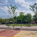 대흥초등학교 정문 앞 이미지