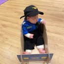 감성톡톡 자연물 놀이 | 엄마가 더 신난 자연물 감성놀이 까르까르 후기[6~11개월]