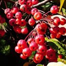 명덕호수공원 이미지