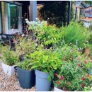 숲이좋아민박 이미지