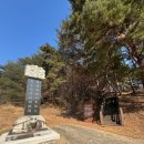 창원 최윤덕 묘역 | 정열공 최윤덕 장군 묘역 방문 후기 - 창원에는 강동원이전에 최윤덕장군이 있었답니다.