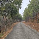 중동 근린공원 이미지